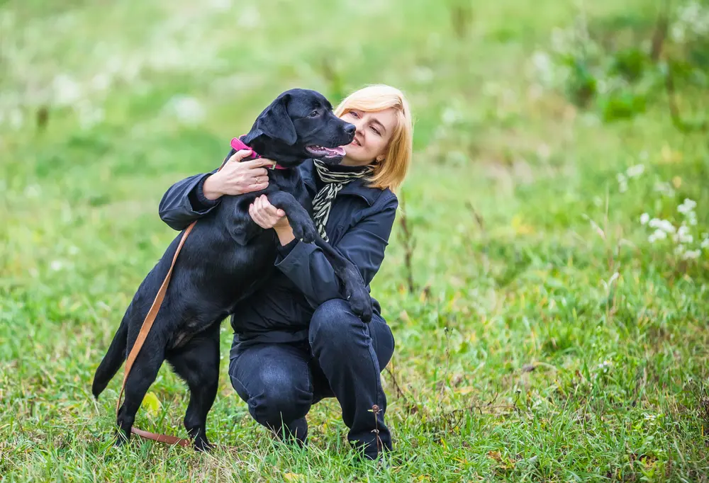 Woman holding black lab in a field