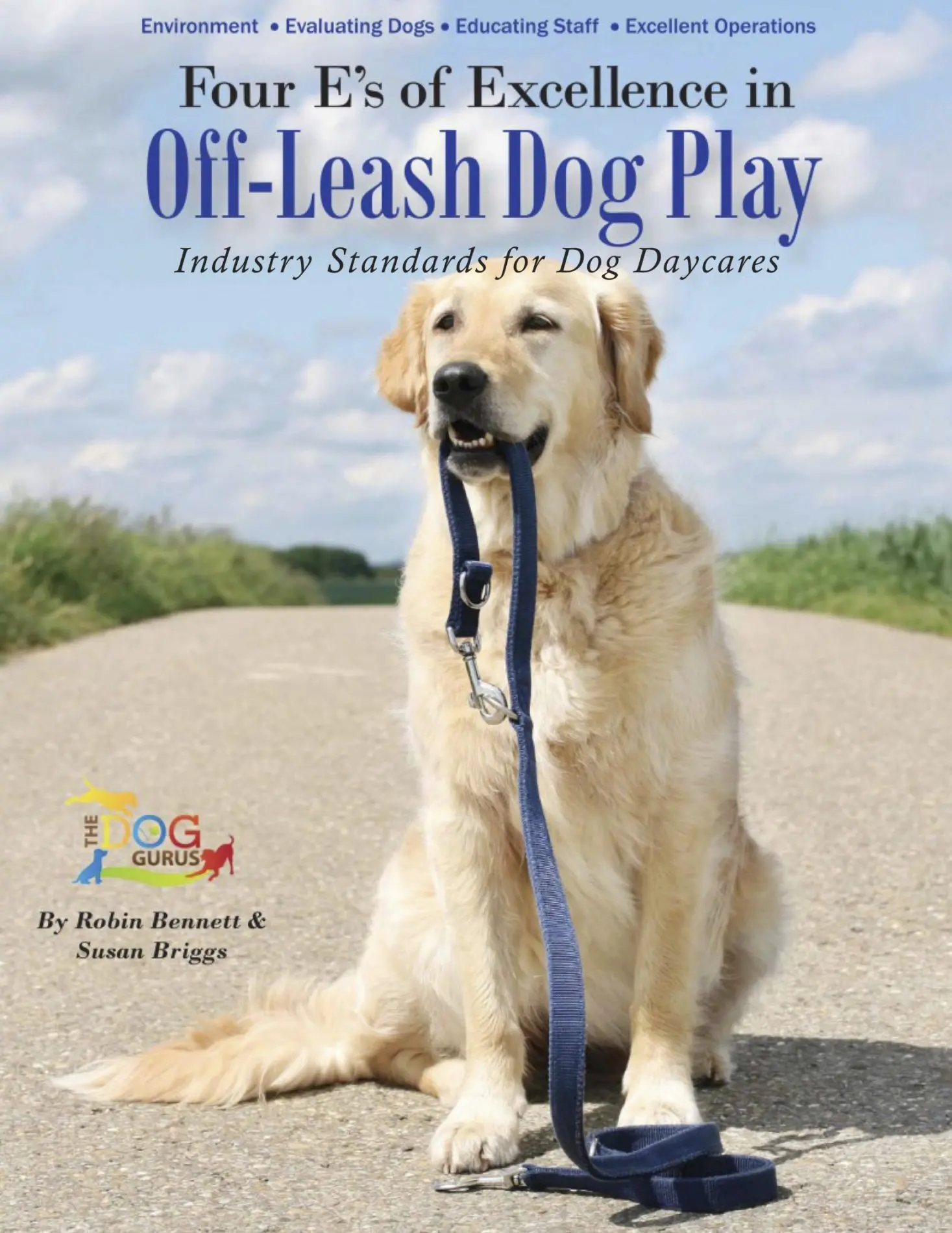 Off-Leash Dog Play Industry Standards for Dog Daycare book cover.