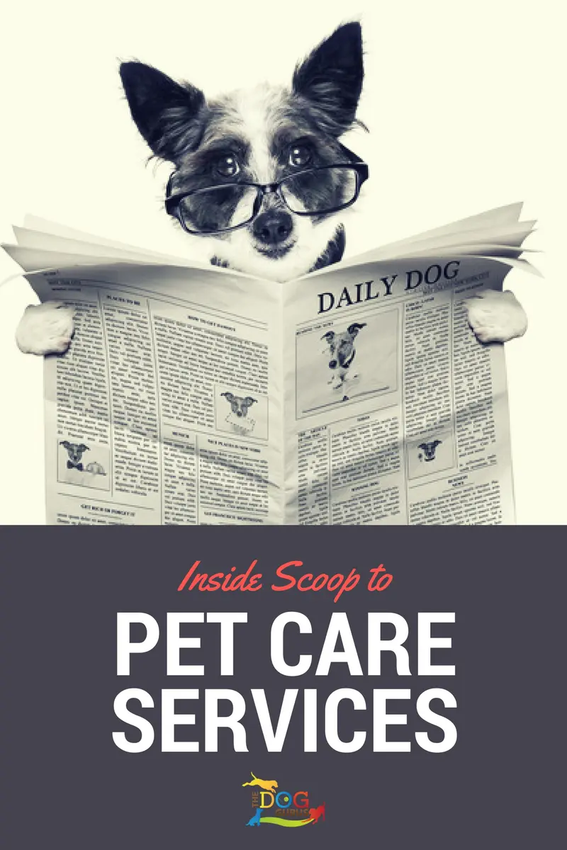 Inside Scoop to Pet Care Services book cover.