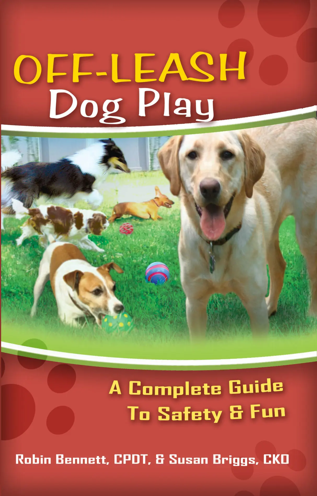 Off Leash Dog Play To Safety & Fun Off-Leash Dog Play book cover.