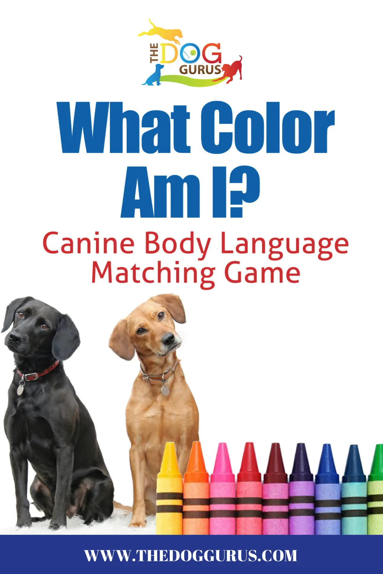 What Color Am I? Canine Body Language Matching Game book cover.