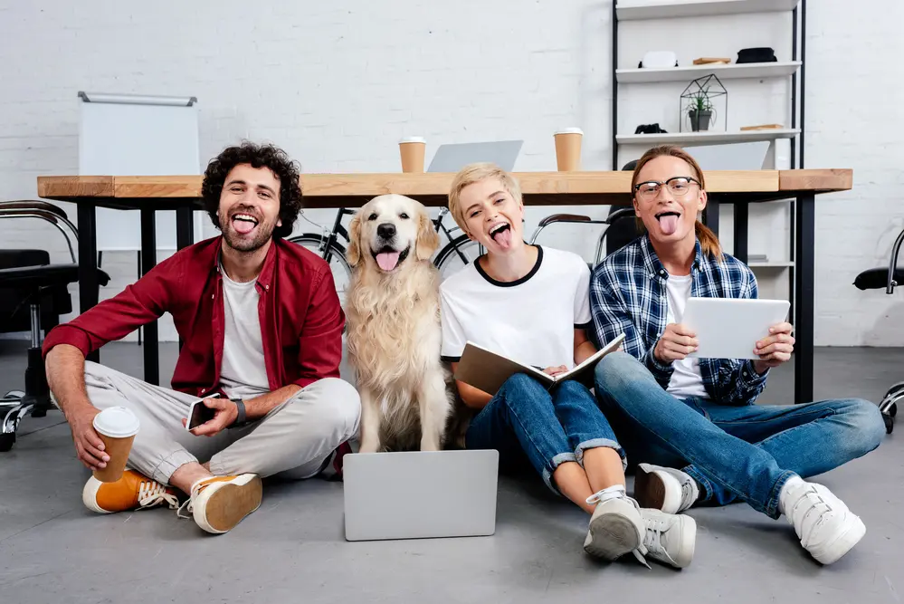 How to motivate and engage your pet care team