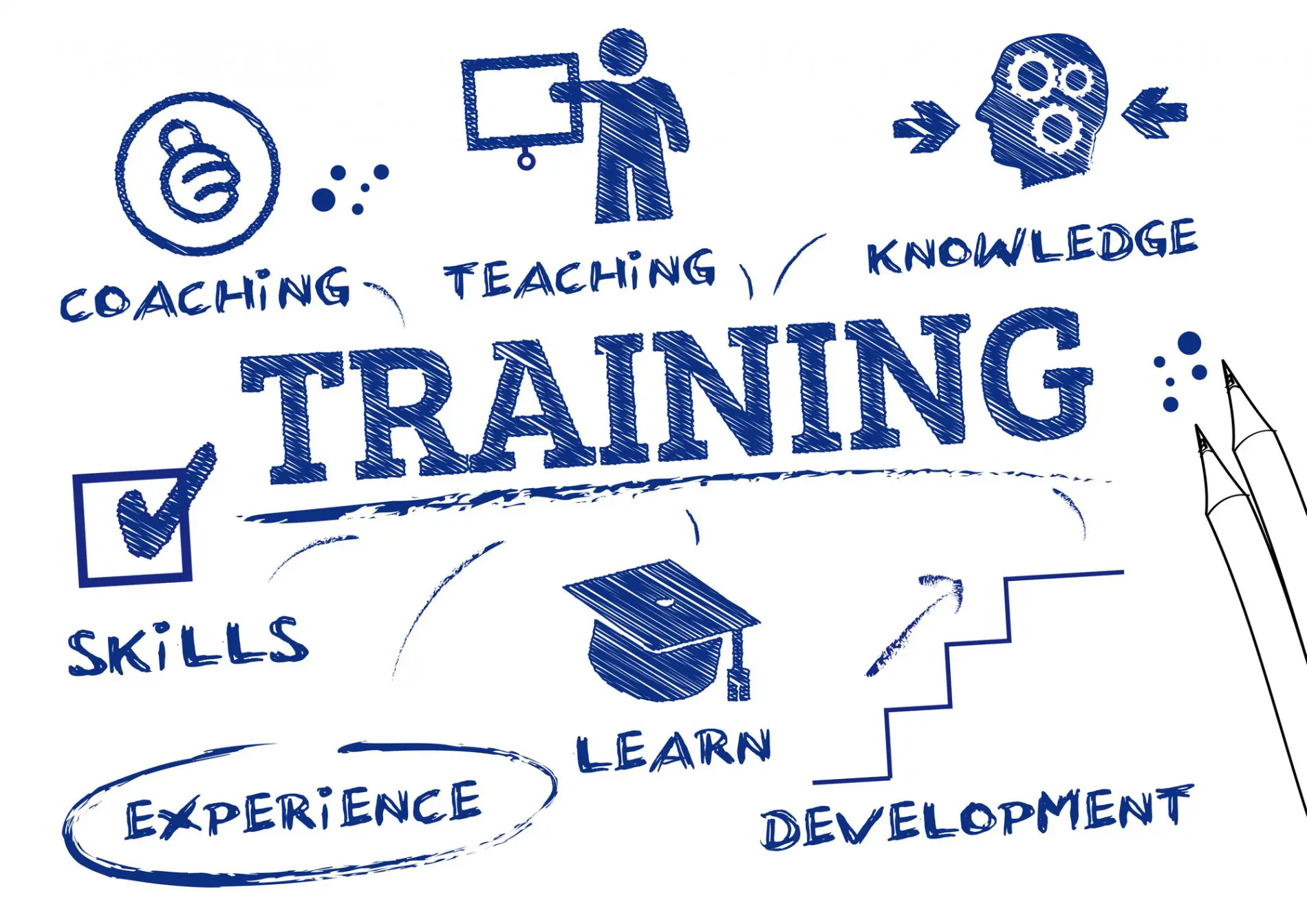 5 Tips for Creating a Staff Training Program for Your Pet Business