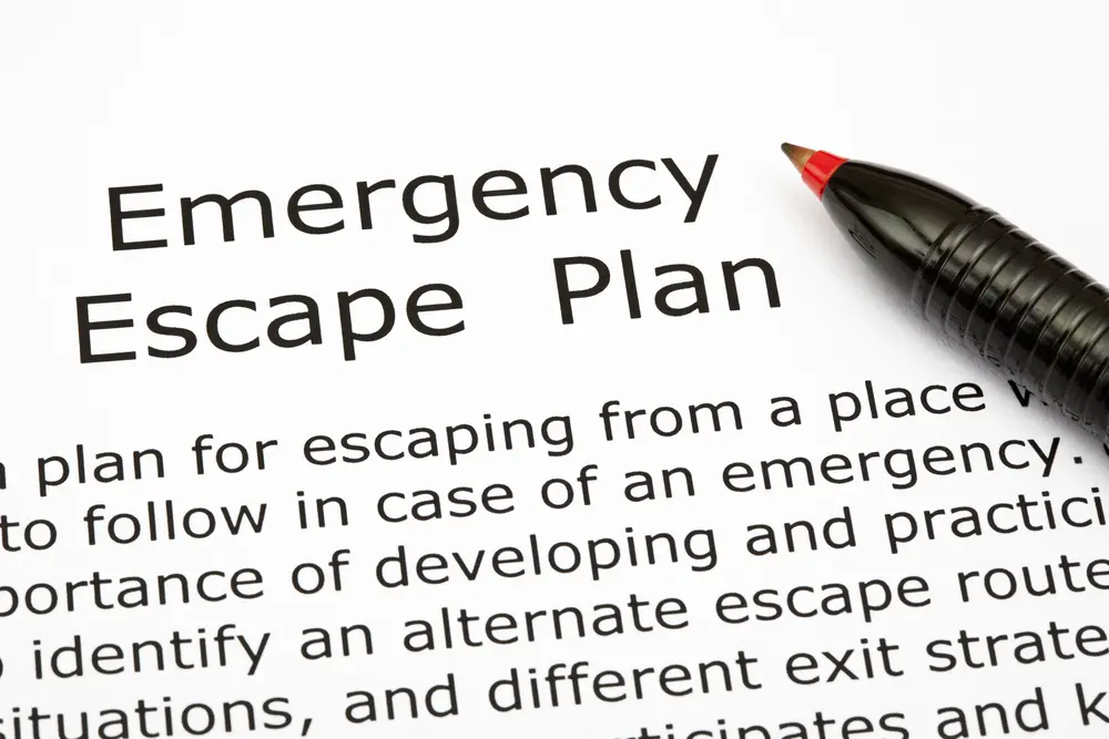 Emergency Evacuations & Safety Protocols in Your Pet Business