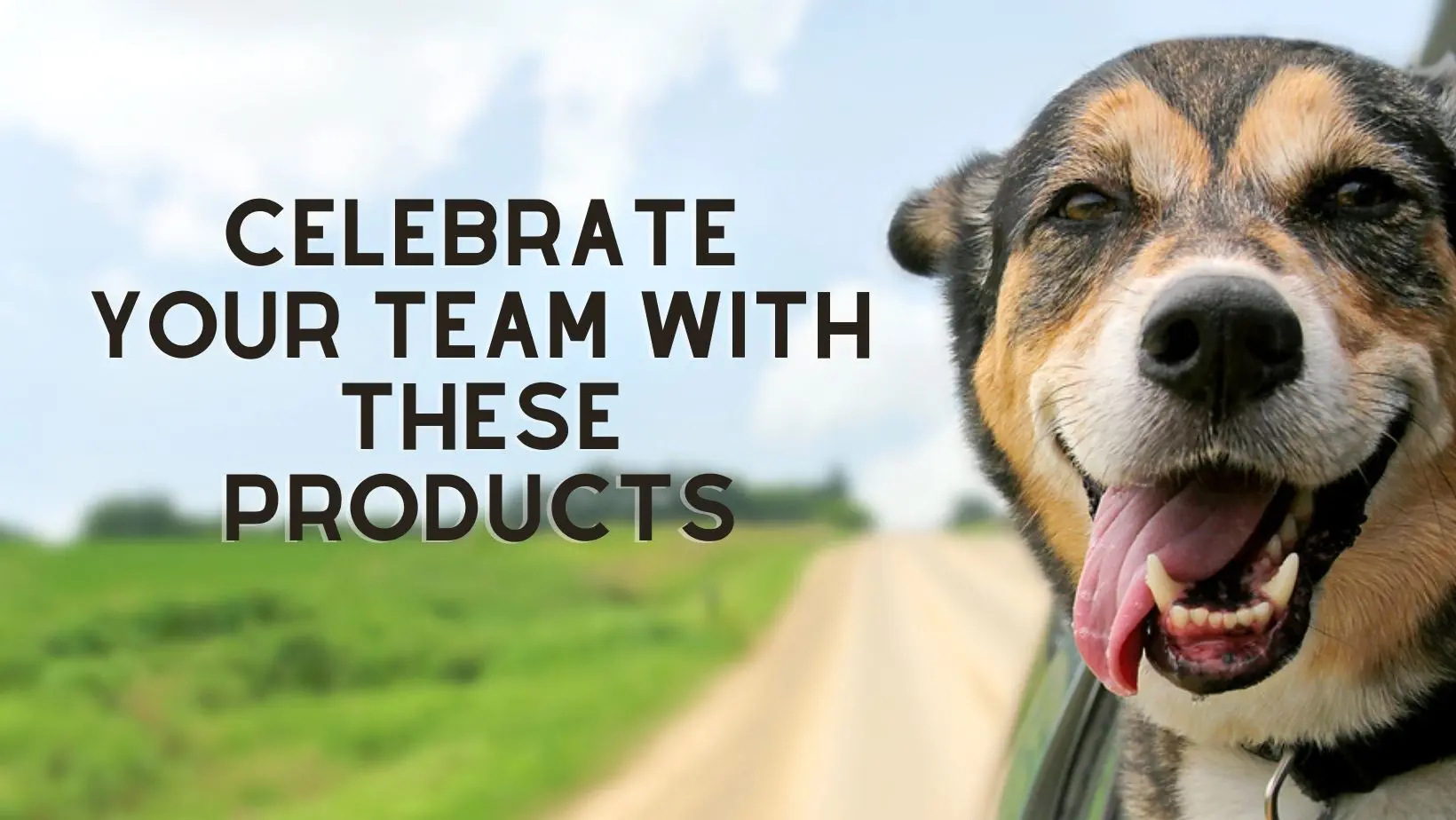 Get products for your team!