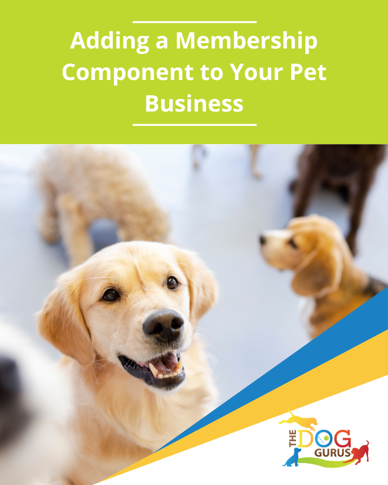 Adding a Membership Component to Your Pet Business