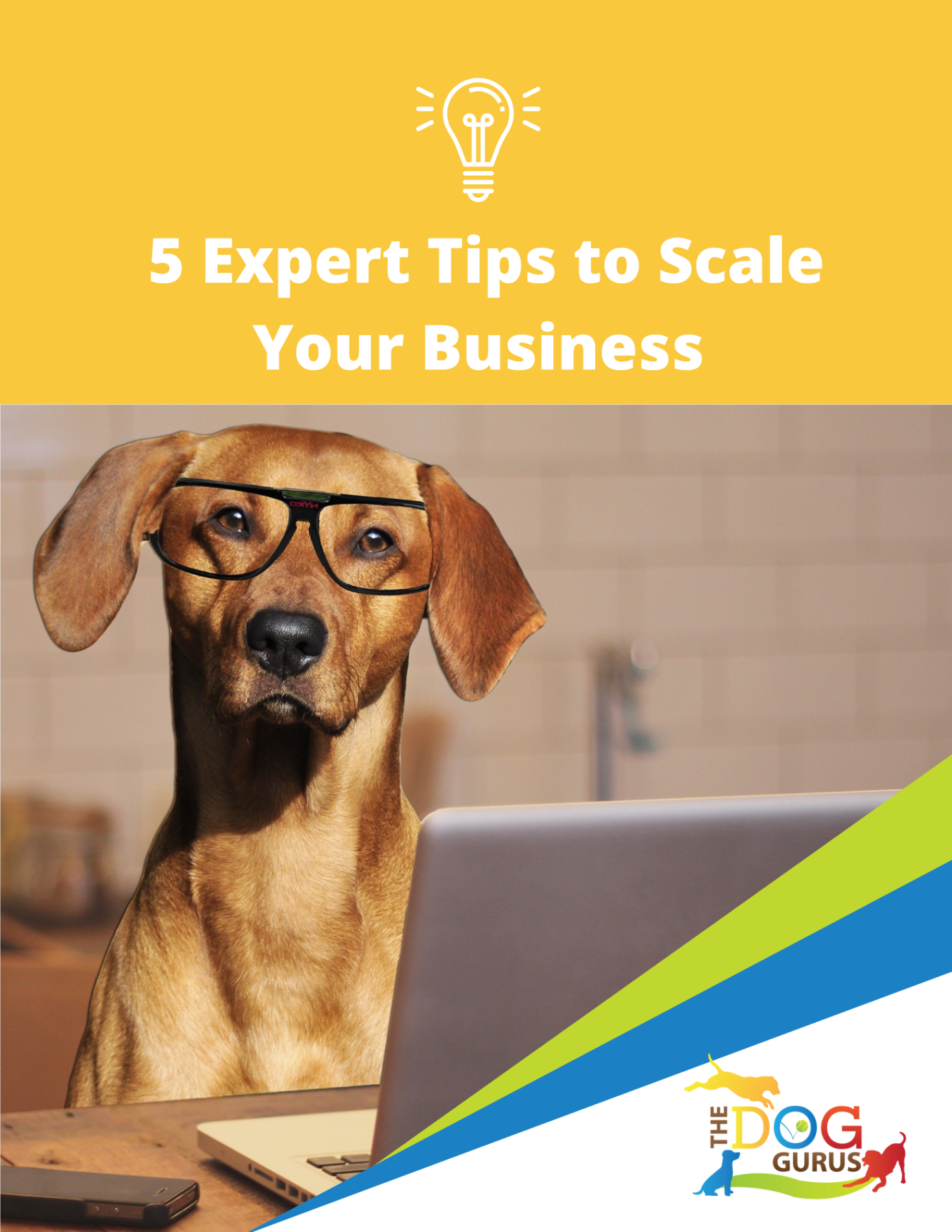 5 Experts Tips