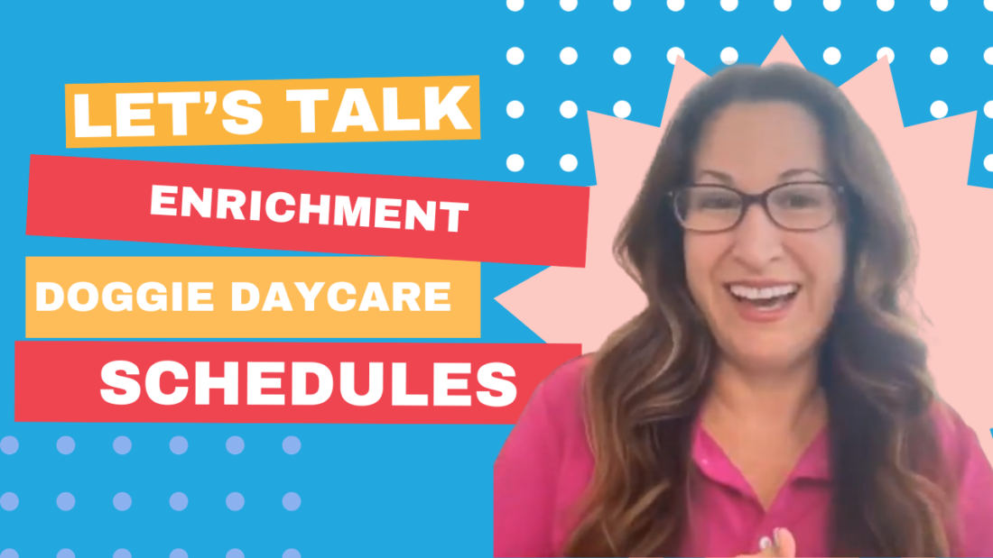 Crafting an Effective Enrichment Schedule for Your Doggie Daycare