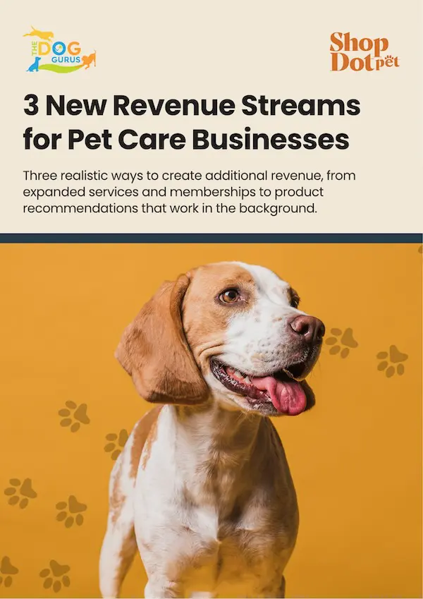 Three New Revenue Streams cover image