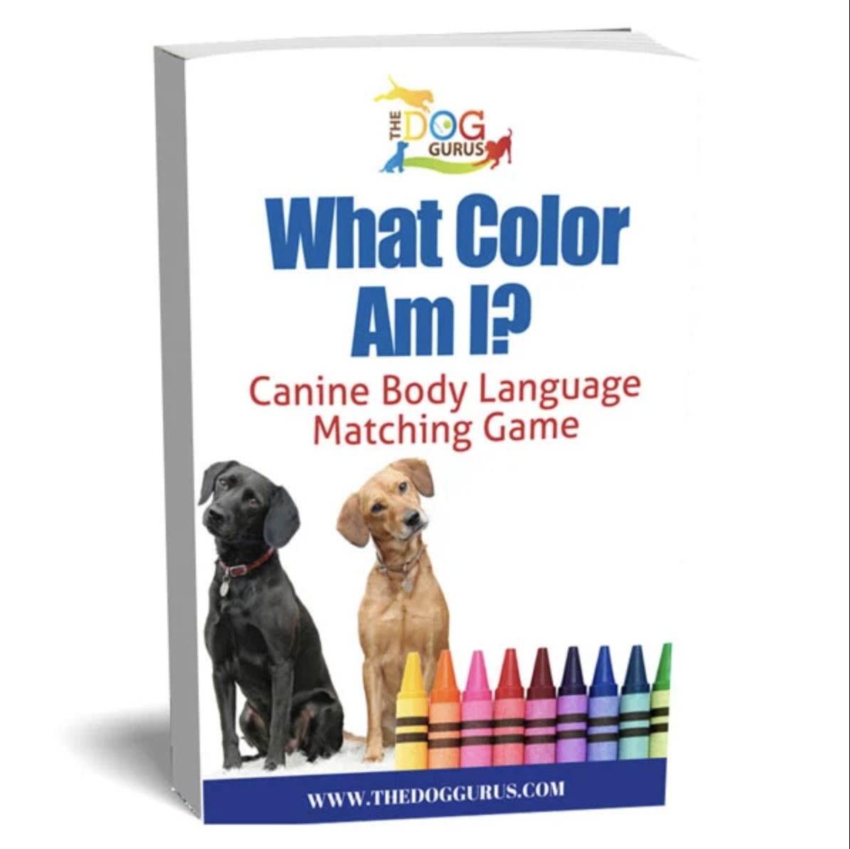 What Color Am I? Canine Body Language