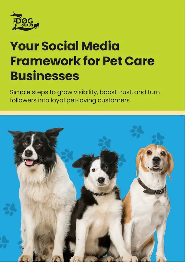 Your Social Media Framework cover image