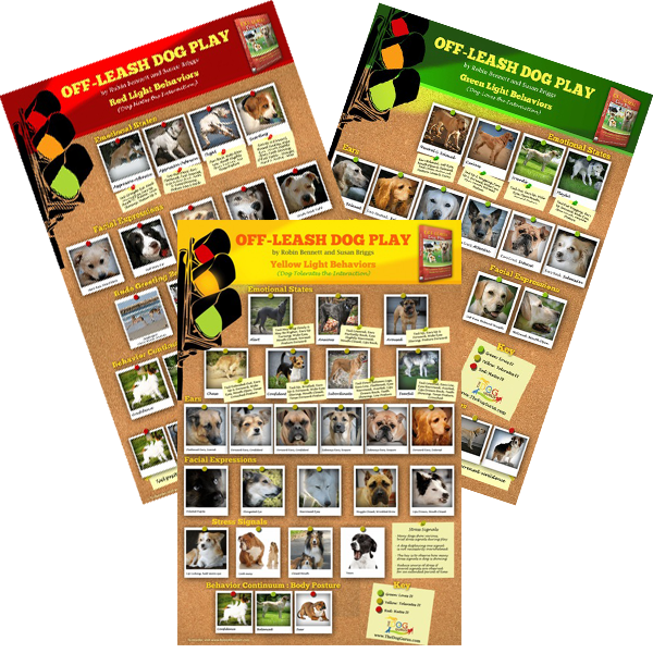 Off leash dog play body language posters