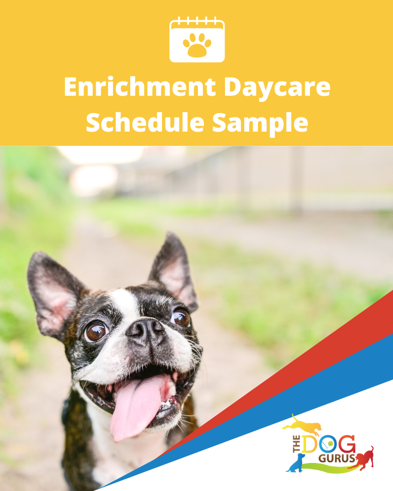 enrichment daycare schedule sample