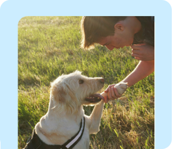 for-staff-positive-reinforcement-frame