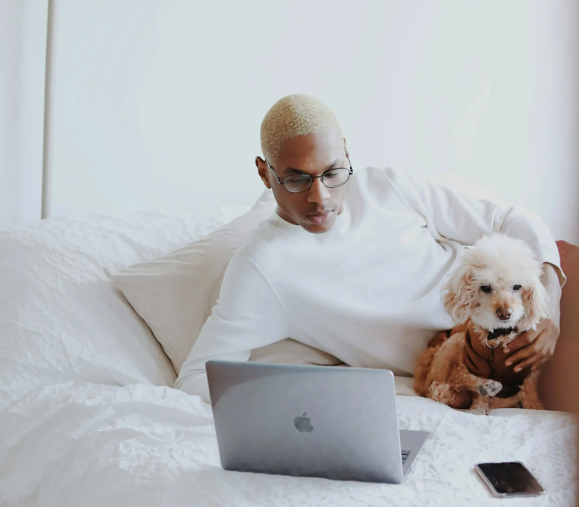 man-dog-laptop-bed