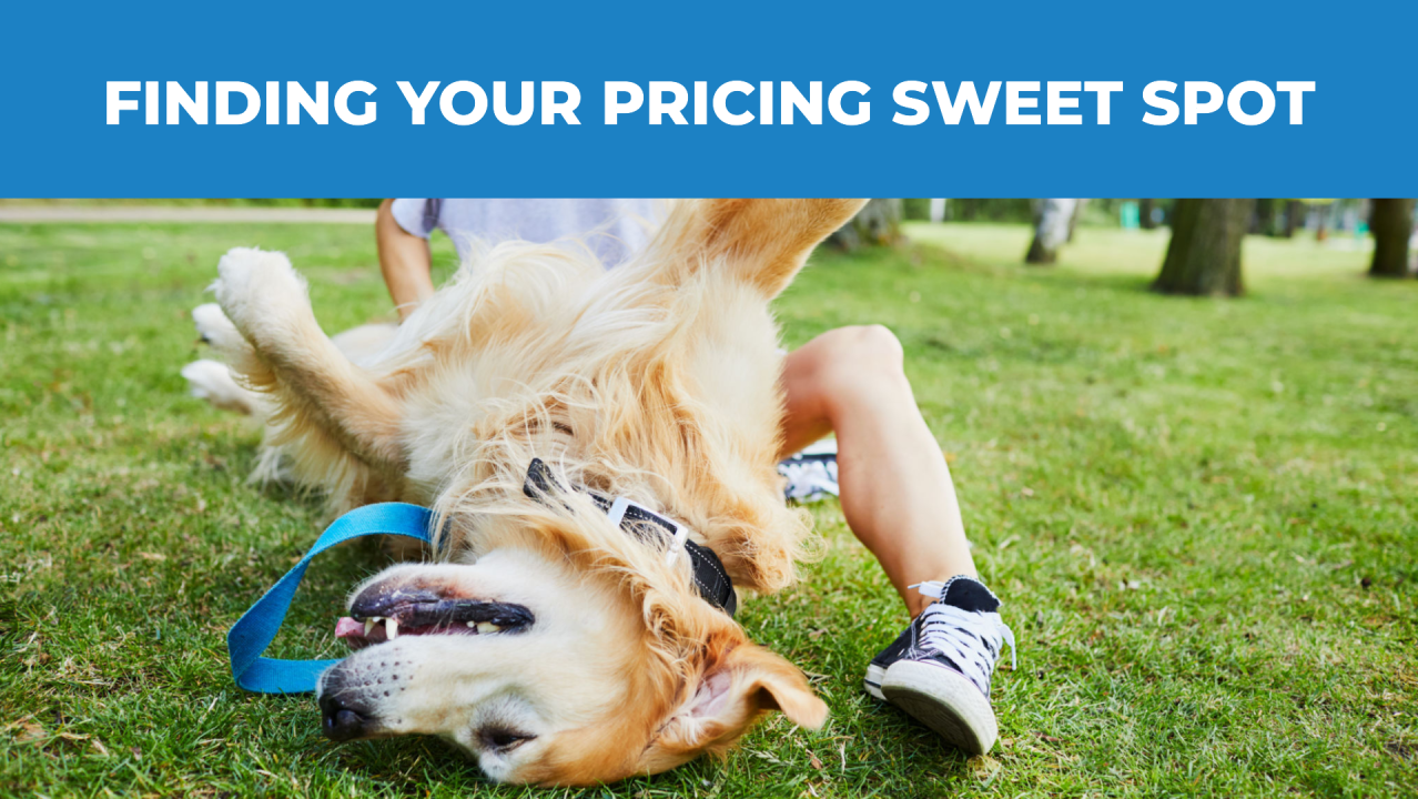 When to Wag Your Tail for a Price Hike (Part 2): Finding Your Pricing Sweet Spot