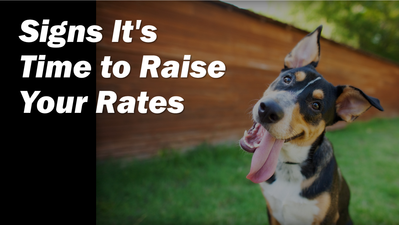 When to Wag Your Tail for a Price Hike (Part 1): Signs It's Time to Raise Your Rates