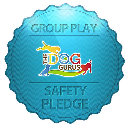 Group Play - The Dog Gurus Safety pledge logo