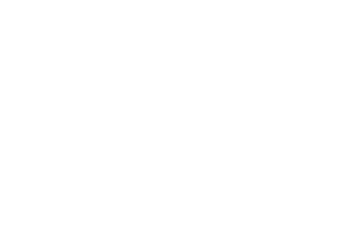 The Dog Gurus