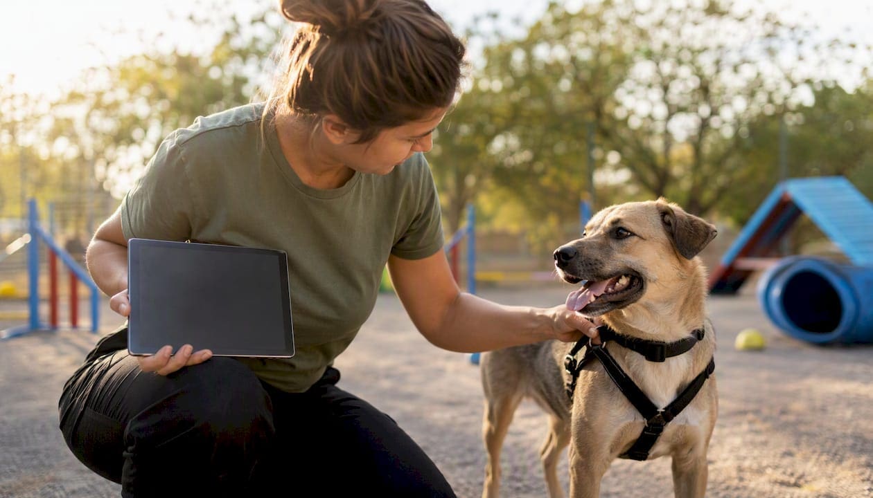Staff member securing dog while using tablet