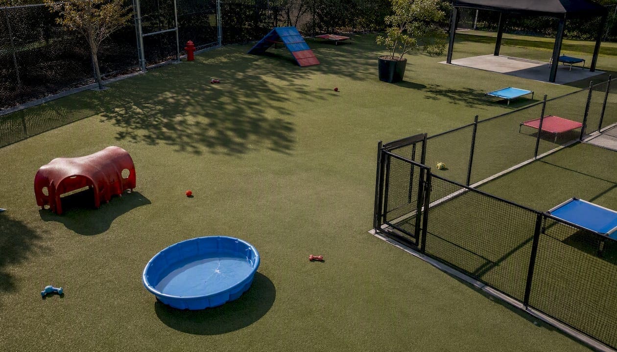 Empty indoor dog daycare play area with safety features