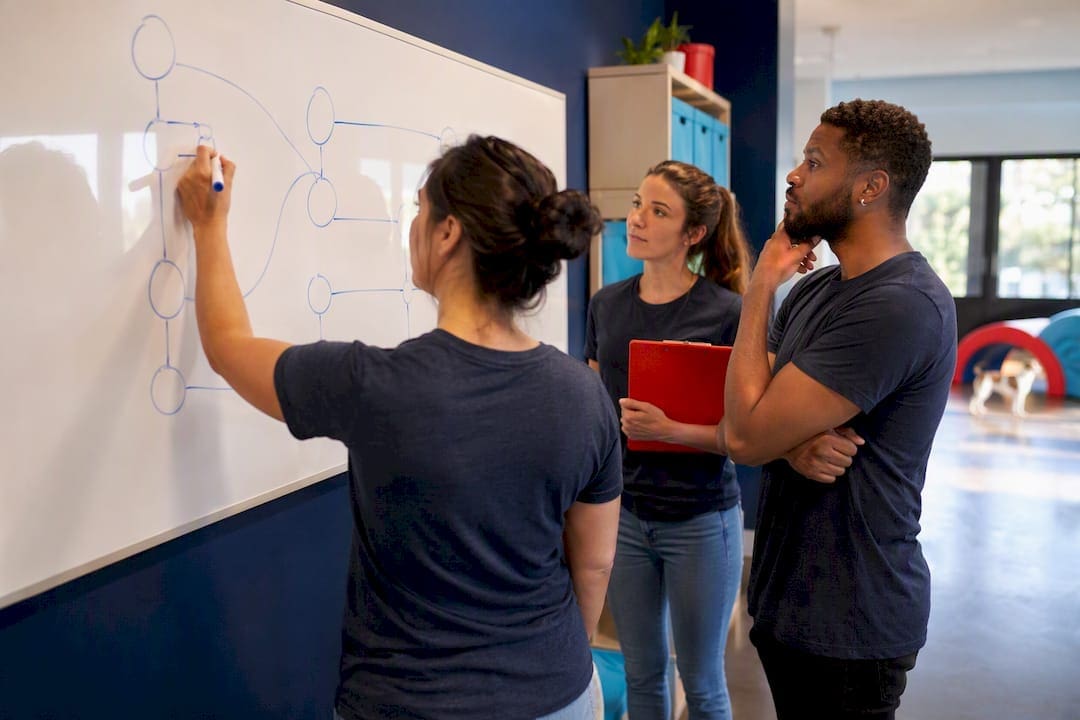 Pet care team mapping a workflow
