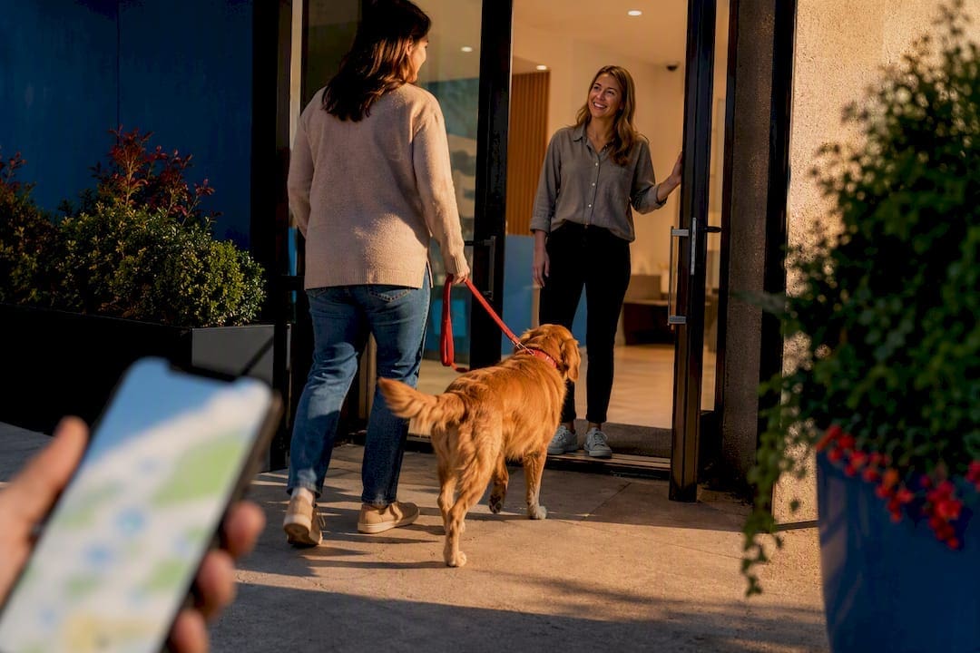 Dog daycare entrance welcoming new client