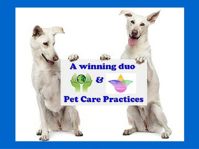 Two dogs are Photoshopped to appear as though they're holding up a sign that reads, "A winning duo and Pet Care Practices." In between the text is an image of cupped green hands hold a green planet and a purple, yellow, green, and pink lotus flower noting spirit, body, mind, and balance.