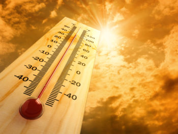 Image of a wood thermometer with a red temperature indicator under a hot sun showing that it is 100 degrees F, 40 degrees C.