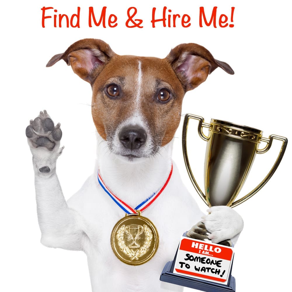 A Photoshopped dog wearing a gold medal and holding a gold trophy with a name tag that reads, "Hello I am...Someone to Watch!" The red text above the dog reads, "Find Me and Hire Me!"