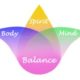 Purple, yellow, green, and pink holistic balance lotus graphic that highlights body, spirit, mind, and balance.