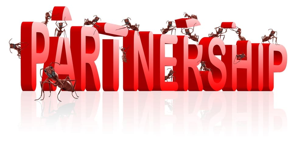 the word partnership being built by ants