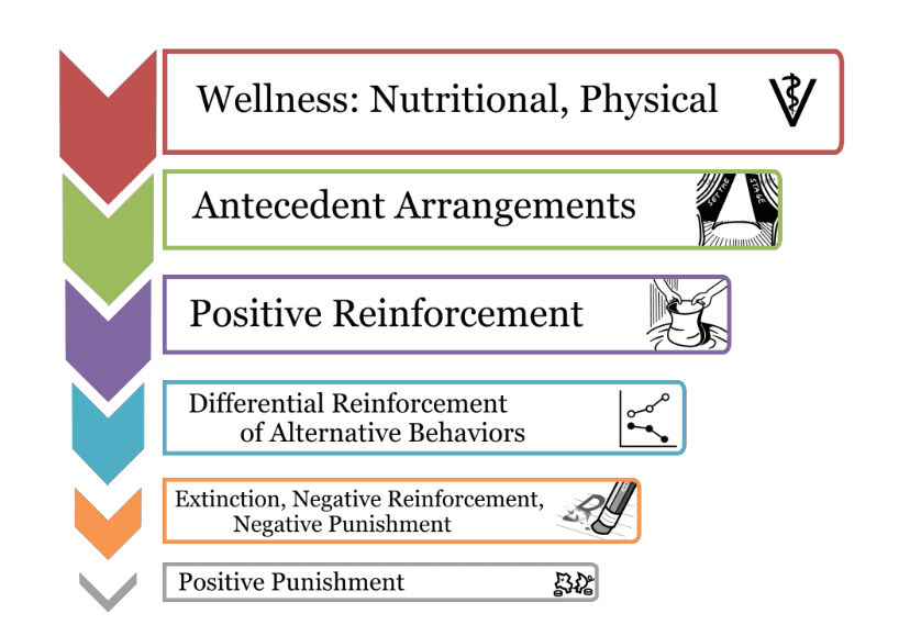 Red, green, purple, teal, orange, and grey graphic noting the following areas: Wellness, nutritional and physical; antecedent arrangements; positive reinforcement; differential reinforcement of alternative behaviors; extinction, negative reinforcement, negative punishment; and positive punishment.