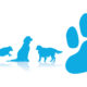 Blue silhouettes of four dogs and a giant paw print.