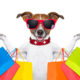 Dog in large red sunglasses with shopping bags of different colors on each of its arms.