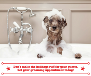 make-your-holiday-guests-happy-1