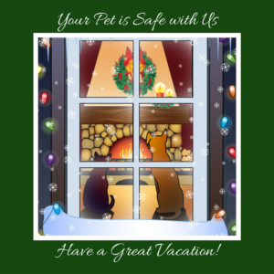 your-pet-is-safe-with-us-1