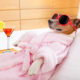 Small dog in red, over-sized sunglasses, wearing a pink fluffy robe, and reclining on a chaise lounge chair with a cocktail sitting nearby.