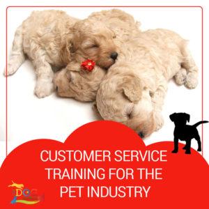 Three sleeping puppies cuddled together on a white floor. Below that, the image reads, "Customer Service Training for the Pet Industry."