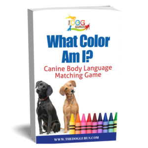 A staff training game guide that outlines how to match canine body language with different colors.