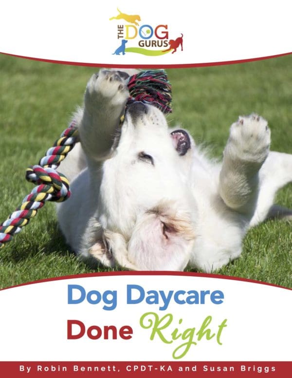 Dog Daycare Done Right The Dog Gurus