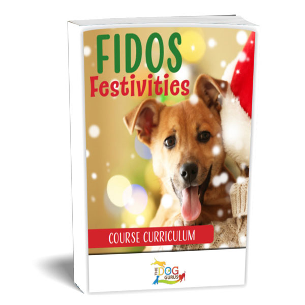 fidos holiday festivities curriculum