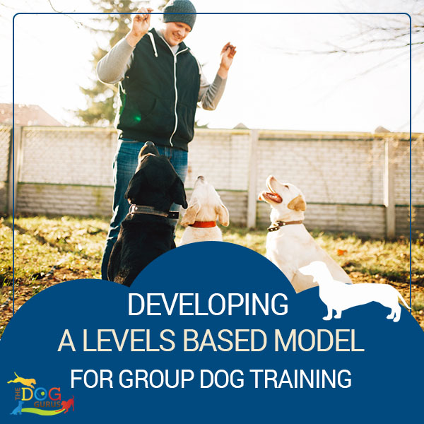 group dog training guide