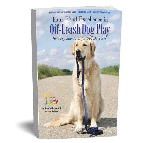 Keeping Your Dog Enrichment Program Fresh - The Dog Gurus