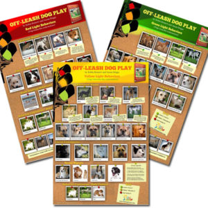 Three off-leash dog play posters depicting good, bad, and in-between behaviors.