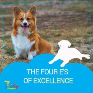 A corgi smiling at the camera with "The Four E's of Excellence" written below the image.