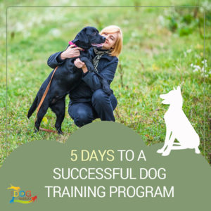 A black dog being held up slightly by its crouching owner in a grassy area. The written content below the image reads, "5 Days to a Successful Dog Training Program."