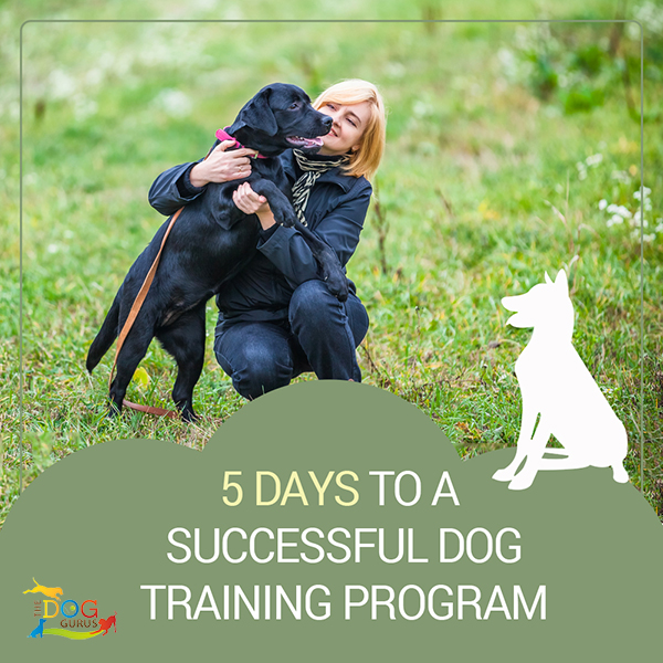 successful dog training program