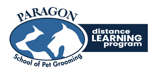 paragon logo smaller