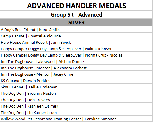 advanced group sit silver